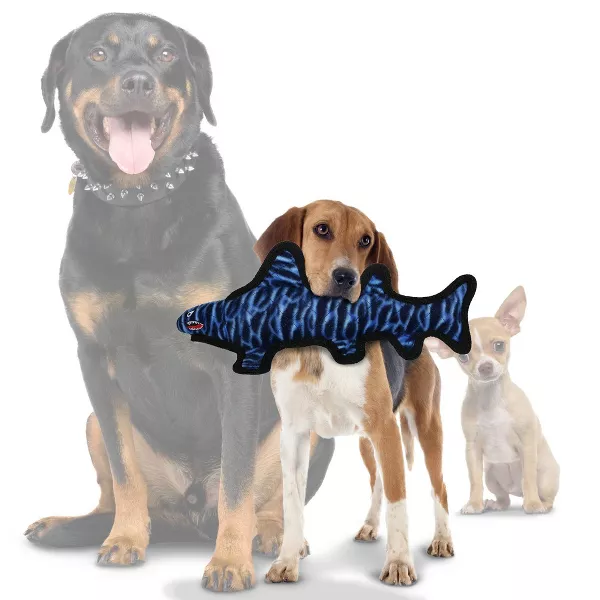 Tuffy's Ballistic Shark Pet Toy - Blue - M/L